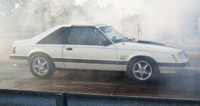 mustangsmokeyLR.jpg