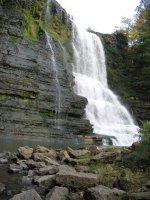 Picture 179 (Large).jpg