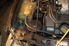 contour 3l turbo 011.jpg