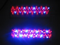 10692LEDs_010.jpg