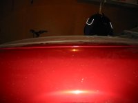 IMG_0003.JPG