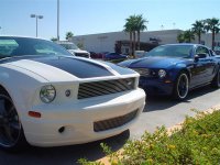 Foose Stallion 004 (Large).jpg