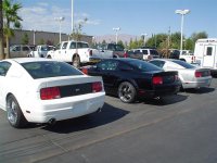 Foose Stallion 007 (Large).jpg