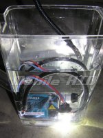 fishlight.jpg