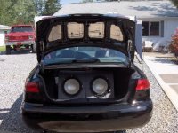 Trunk.JPG
