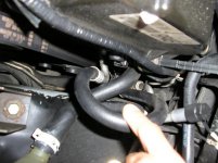 HOSE1.JPG