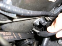 HOSE1.1.JPG