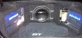 Trunk2.JPG