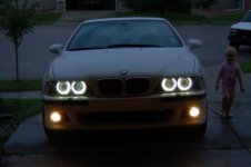 m5lights 002.jpg