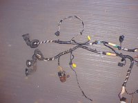 Pass and Driv harness.jpg