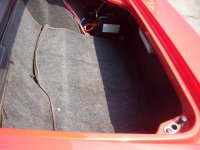 bieri trunk.jpg