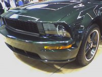 Bullet Stang 1.jpg