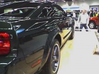 Bullet Stang 2.jpg