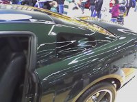 Bullet Stang 5.jpg