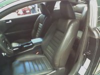 Bullet Stang 7.jpg