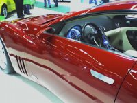 Camero 2.jpg