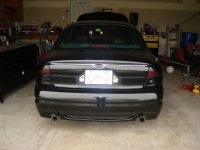 tinted tails1.jpg