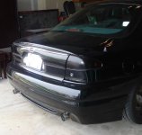 tinted tails2.jpg