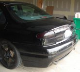 tinted tails3.jpg
