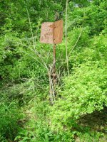 Mainline_Tracks5.jpg