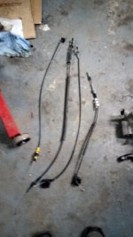 IMG_20160912_052714.jpg