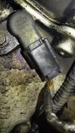 camsensor.jpg