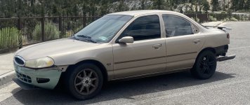 IMG_1113.jpeg
