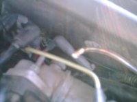 PICT0077.jpg