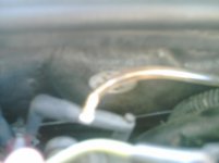 PICT0078.jpg
