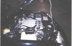 porsch workhorse.jpg