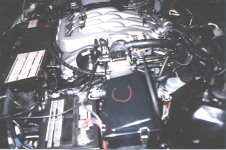 porsche.jpg