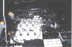 porsche 2.jpg