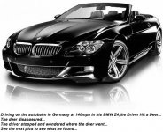 BMWDeer001.jpg