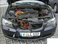 BMWDeer002.jpg