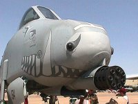 a10..jpg