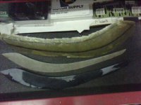IMG0375A..jpg IMG0375A..jpg
