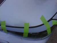 IMG0537A..jpg