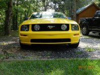 mustang and f150..jpg