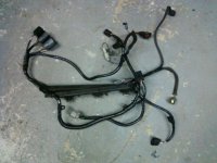 injector harness&#4.JPG