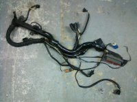 main harness..JPG